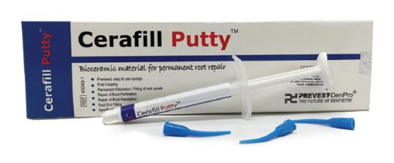 CERAFILL PUTTY 2g